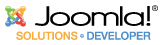 Solutions developer